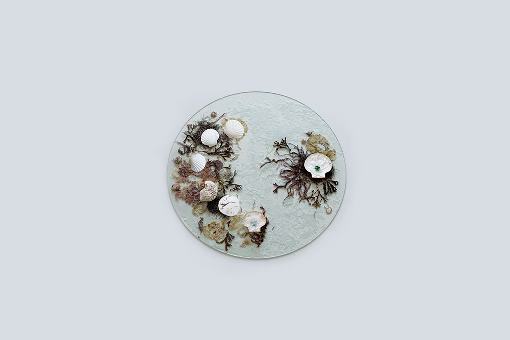 Found objects from the waters of Puerto Rico and NYC arranged in a cricle.