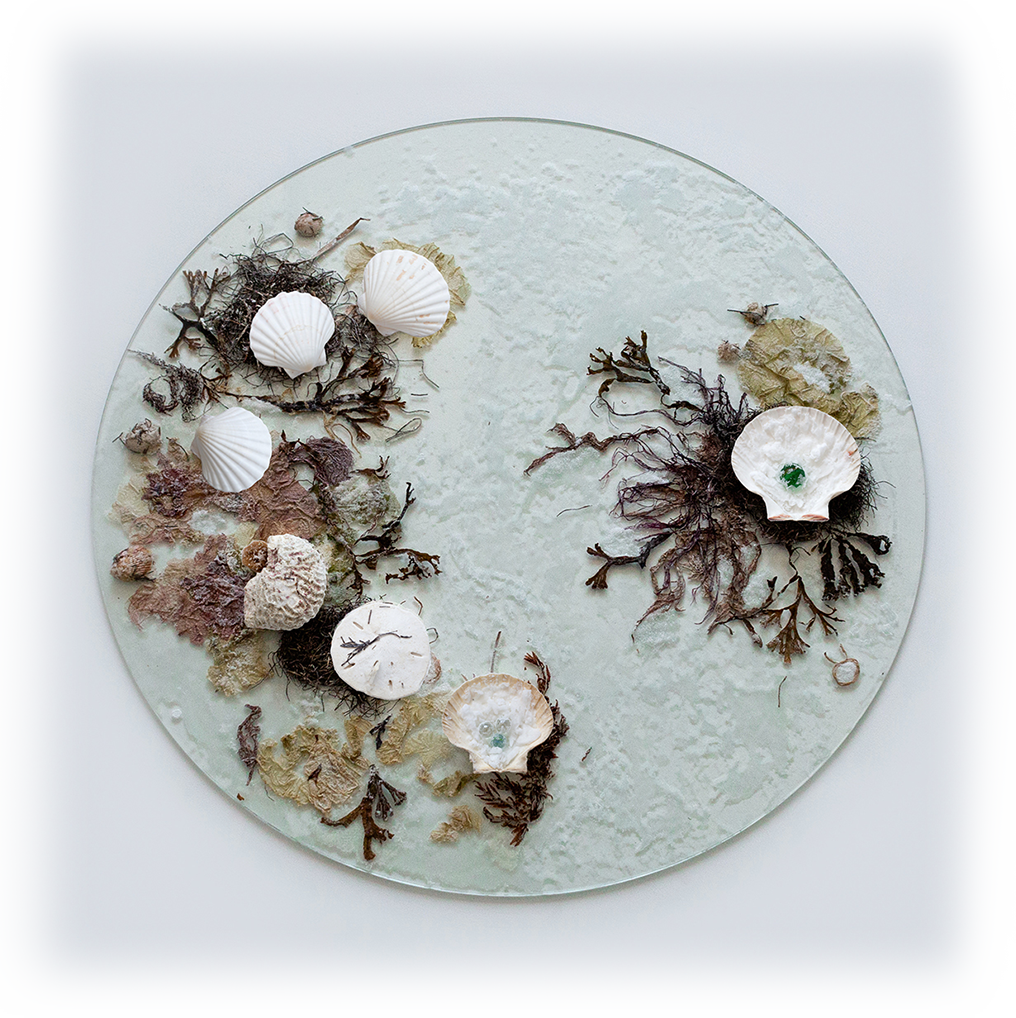 Overhead photogrpah of scultpural work with found glass, various salts, seaweed and marine life intended to function as a visual menu to navigate the artowrks in this online exhibiton.